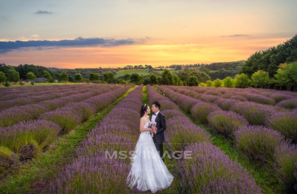 WEDDING PHOTO