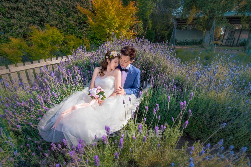 WEDDING PHOTO