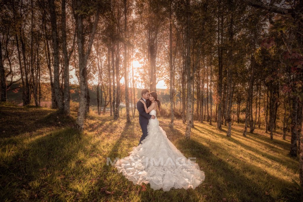 WEDDING PHOTO